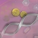 RIDA®GENE MRSA real-time PCR