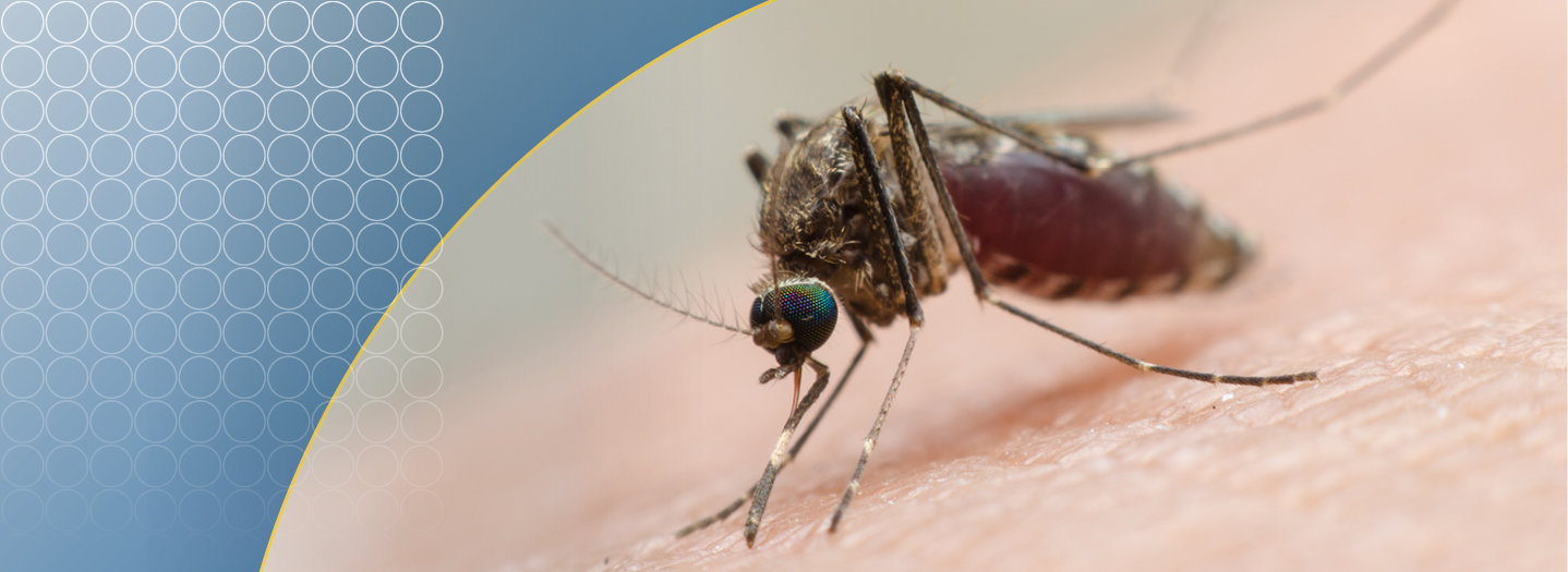 Paludisme : une gamme complète de diagnostics fiables