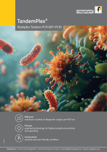 tandemplex_ausdx_overview_20p_en_2025-04_seite_01